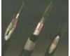 GYXTA光缆
